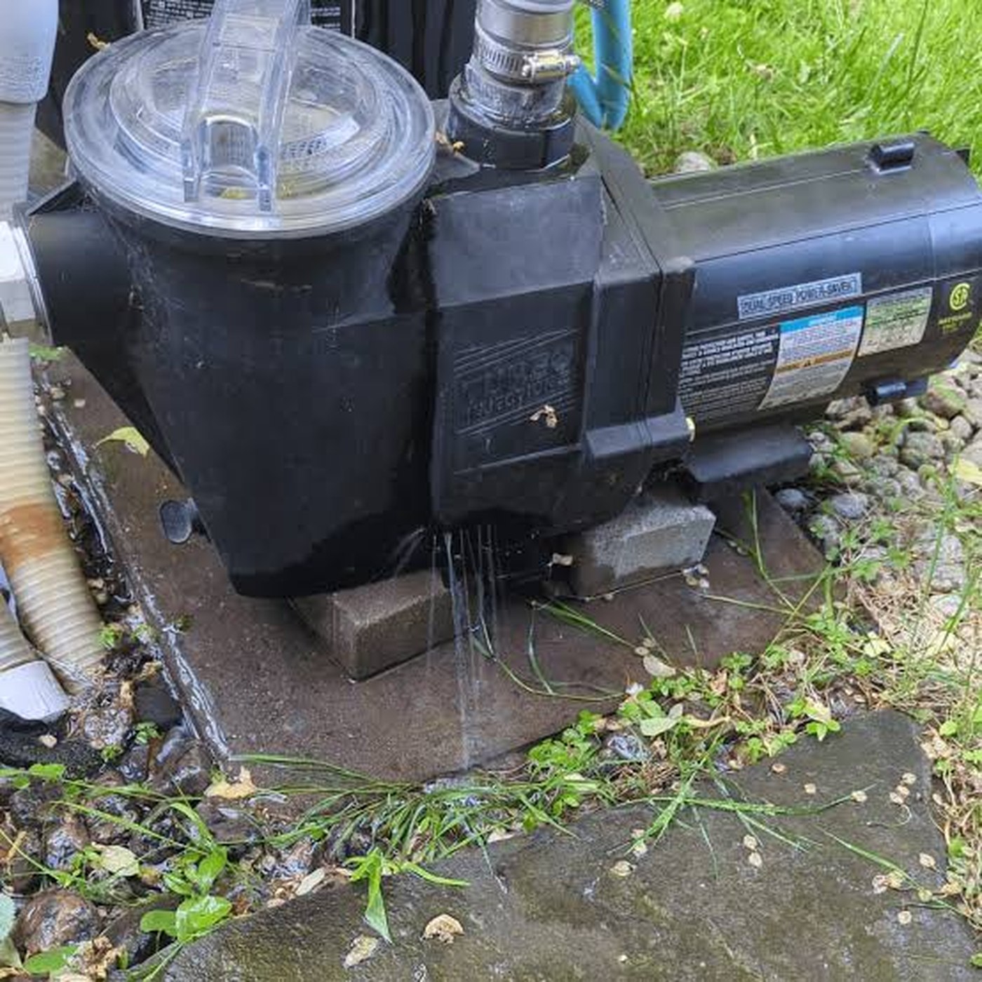 A leaking pool pump needing urgent repair